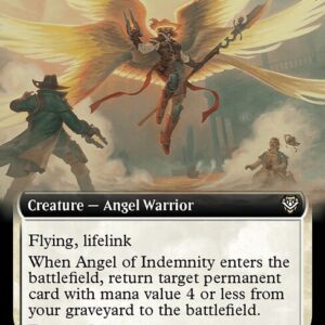 Angel of Indemnity