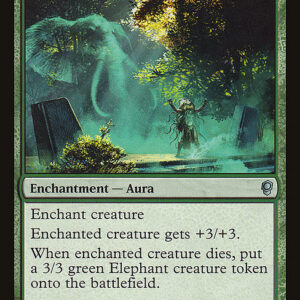 Elephant Guide