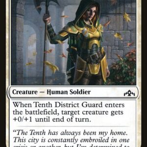 Tenth District Guard