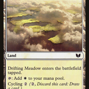 Drifting Meadow