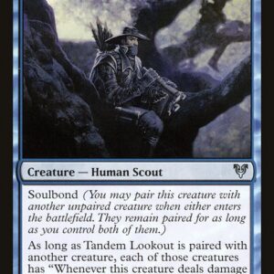 Tandem Lookout