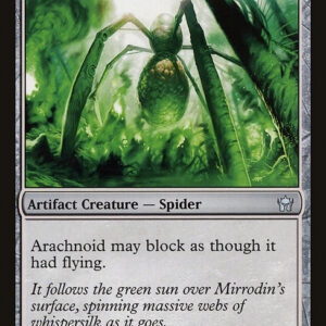 Arachnoid