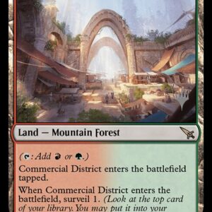 Commercial District