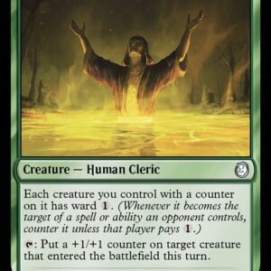 Cathedral Acolyte