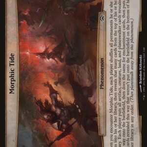Morphic Tide