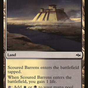 Scoured Barrens