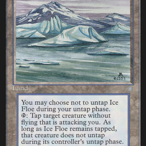 Ice Floe