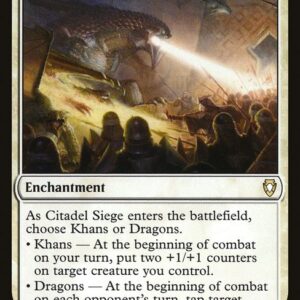 Citadel Siege