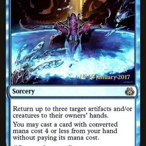 Baral's Expertise