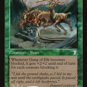 Gang of Elk