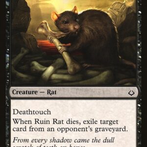 Ruin Rat