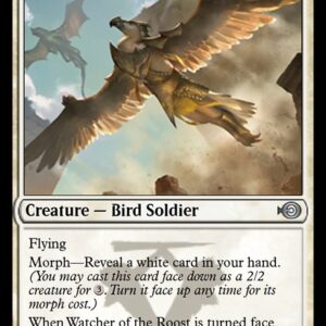 Watcher of the Roost