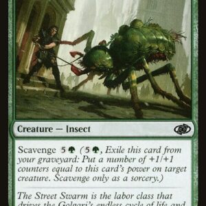 Drudge Beetle