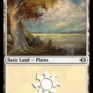 Plains