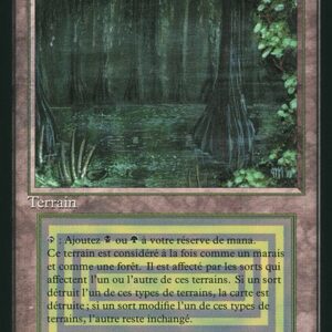 Bayou
