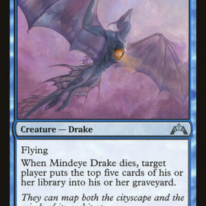 Mindeye Drake
