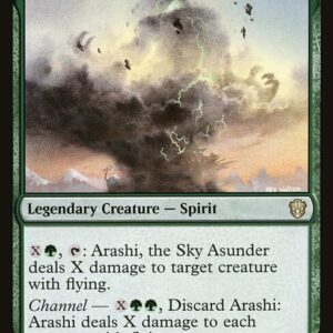 Arashi, the Sky Asunder