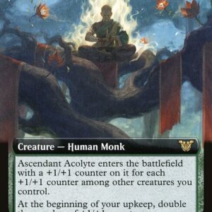 Ascendant Acolyte