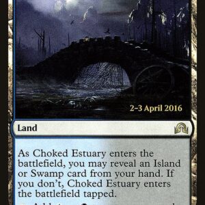 Choked Estuary