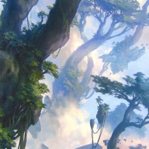 Forest // Forest
