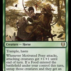 Motivated Pony