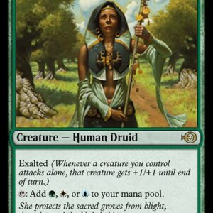 Noble Hierarch