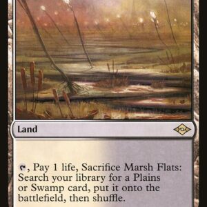 Marsh Flats