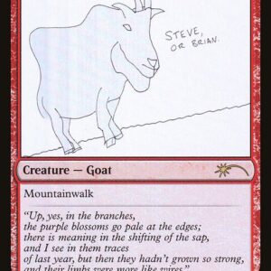 Mountain Goat