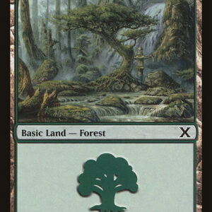 Forest