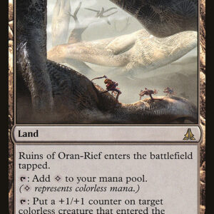 Ruins of Oran-Rief