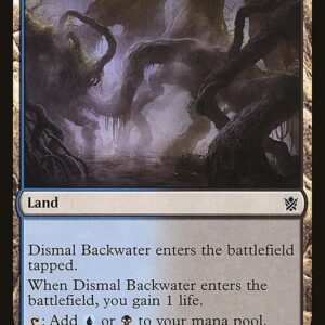 Dismal Backwater