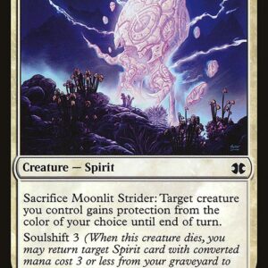 Moonlit Strider