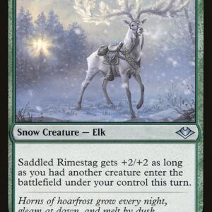 Saddled Rimestag