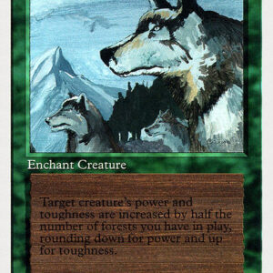 Aspect of Wolf