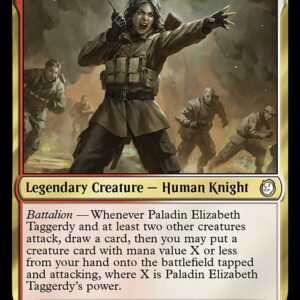 Paladin Elizabeth Taggerdy