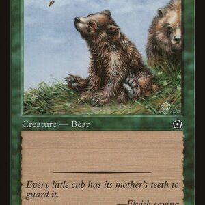 Bear Cub