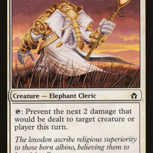 Loxodon Anchorite