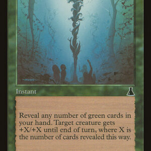 Scent of Ivy