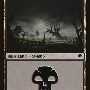 Swamp
