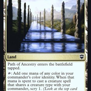 Path of Ancestry