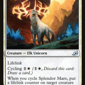 Splendor Mare