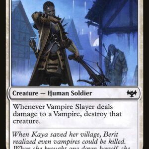Vampire Slayer