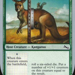 Mother Kangaroo