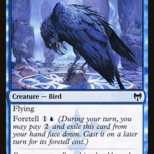 Augury Raven