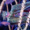 Satsuki, the Living Lore // Satsuki, the Living Lore