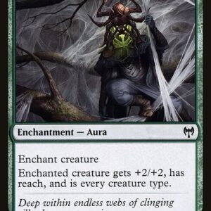 Arachnoform