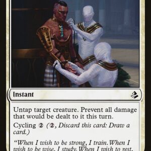Djeru's Resolve