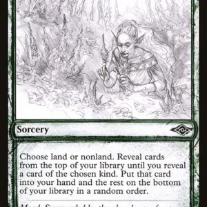 Abundant Harvest