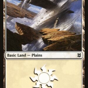 Plains