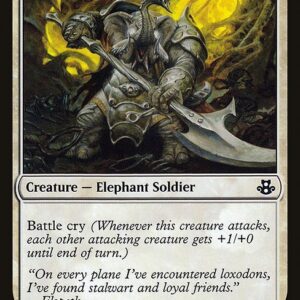 Loxodon Partisan